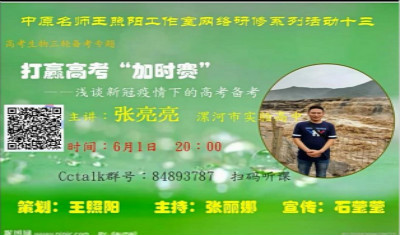 中原名师王照阳工作室开展网络研修活动