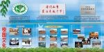 平顶山实验高中简介